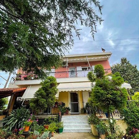 Lucky'S House Διαμέρισμα Πρέβεζα Εξωτερικό φωτογραφία